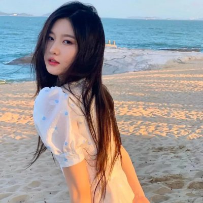 大象心